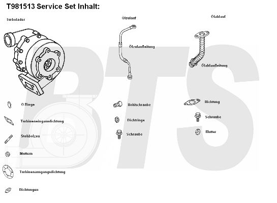 BTS TURBO Компрессор, наддув T981513BL